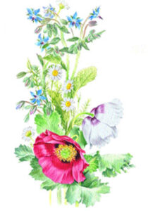 A Midsummer’s Eve Celebration Image